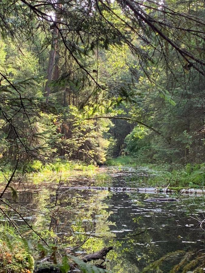 Pokoje Nadrzeczna Augustow Luaran gambar