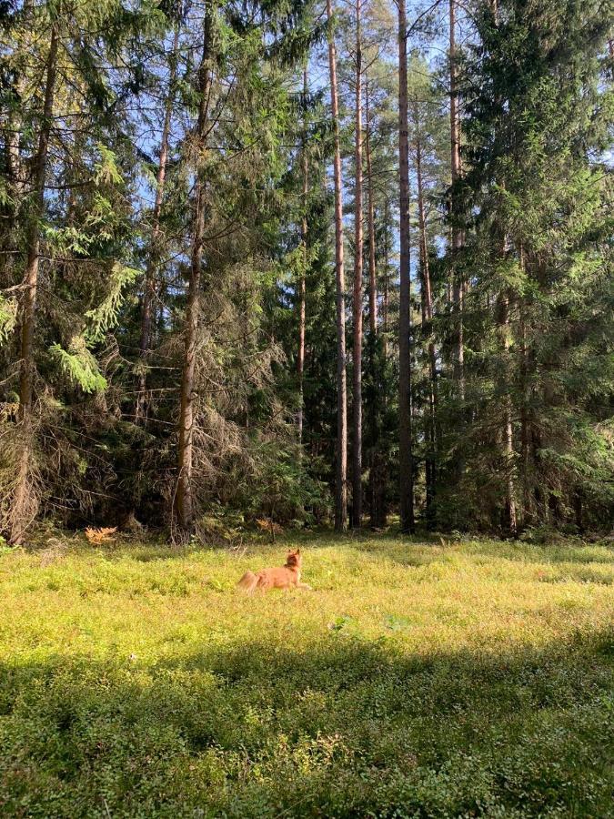 Pokoje Nadrzeczna Augustow Luaran gambar